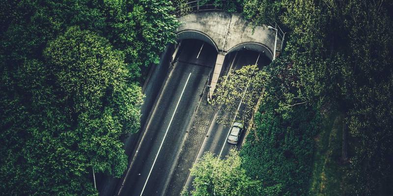 Dengue Prevention Drive — Brgy. Angyap