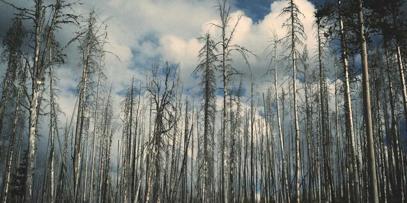 Dengue Prevention Drive — Brgy. Barayong
