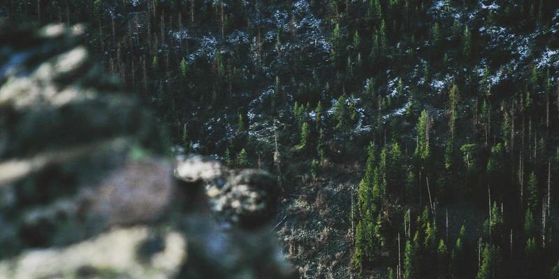 Dengue Prevention Drive — Brgy. Bonga