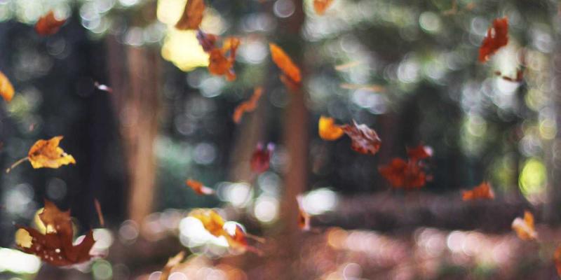 Youth Sports Festival Results — Brgy. Poblacion I-A