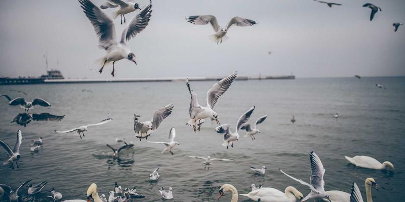 Barangay Road Improvement Project — Brgy. Poblacion I
