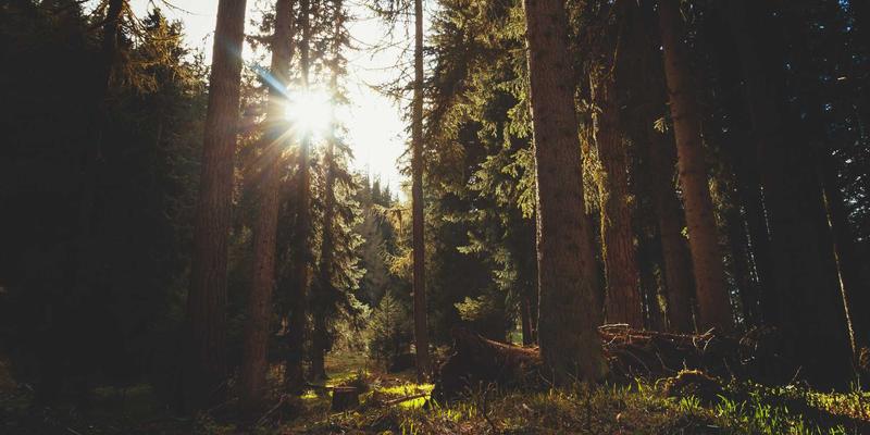 Youth Sports Festival Results — Brgy. Poblacion I