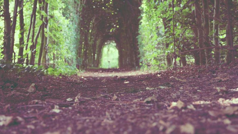 Municipal Council Approves 2024 Budget