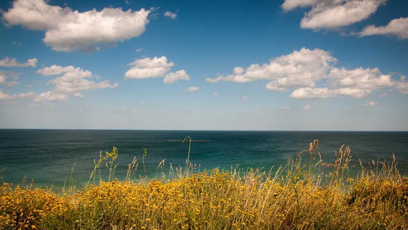 Solar Street Lighting Project